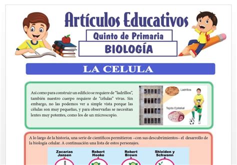 La C Lula Para Quinto De Primaria Articulos Educativos