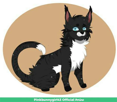 Jayfeather Warriors Amino