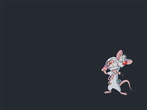 Pinky And The Brain Wallpaper Wallpapersafari