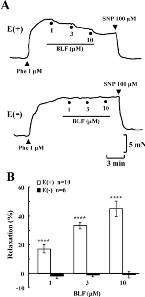 Blf Induced Relaxation In The Rat Thoracic Aorta Typical Responses To