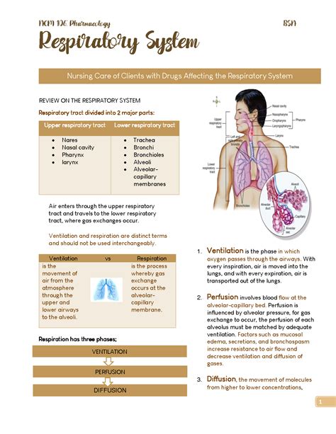 Solution Pharmacology Respiratory System Studypool