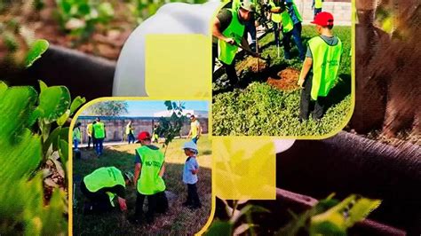 Niños y jóvenes participan en el programa de Restauración Ambiental de