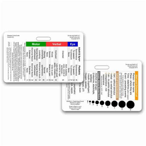 Glasgow Coma Scale Badge Card Horizontal Accessory For Nurse Etsy