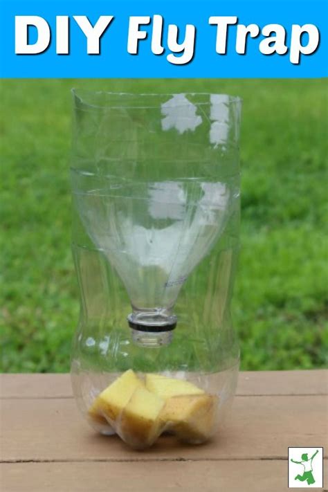 Quick And Easy Homemade Fly Trap Really Works Healthy Home