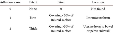 Explanation Of Adhesion Score Download Scientific Diagram