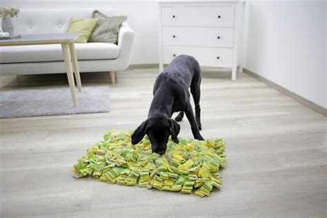 Tapis à renifler rectangulaire Kerbl pour chien chat lapin et rongeur