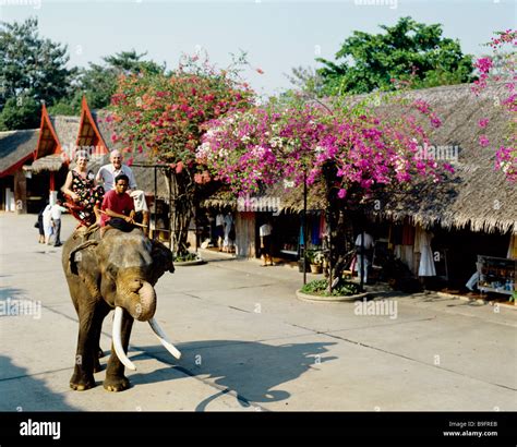 Thailand Bangkok Rose Garden Stock Photo - Alamy