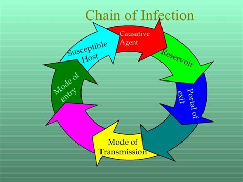 Reservoir Chain Of Infection Examples