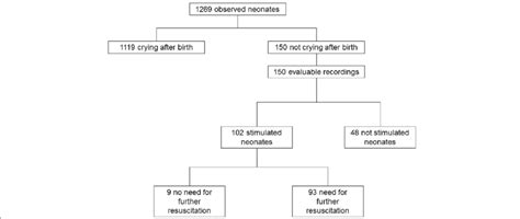 Arc Neonatal Flowchart