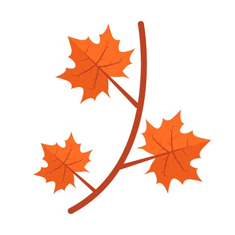 maple leaf autumn illustration 37132100 Vector Art at Vecteezy