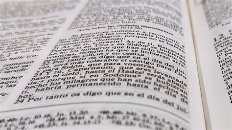 La guía completa de los libros de la Biblia en orden según la Reina