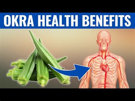 20 HEALTH BENEFITS OF OKRA Wadaef