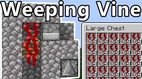 How To Use Weeping Vines In Minecraft At Ruben Connor Blog