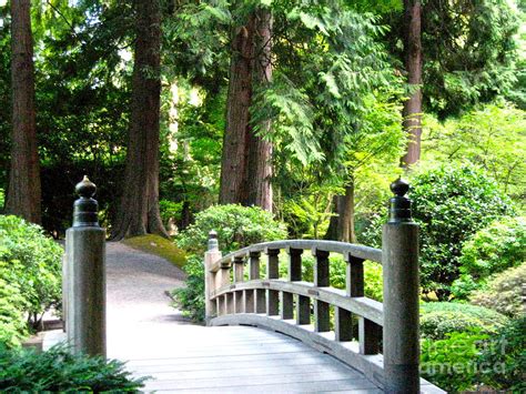 Japanese Garden Bridge Photograph by Brad Gravelle | Pixels