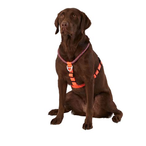 Arcadia Trail™ Rope Dog Harness Dog Harnesses Petsmart