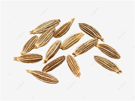 Macro Closeup Of Organic Cumin Seeds Jeera Cumin Seed Cuminum Cyminum