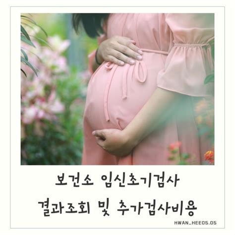 보건소 임신초기검사 항목 결과조회사이트 및 추가검사 비용 네이버 블로그