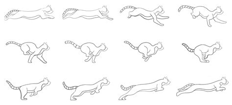 Animation - Cat's run cycle on Behance