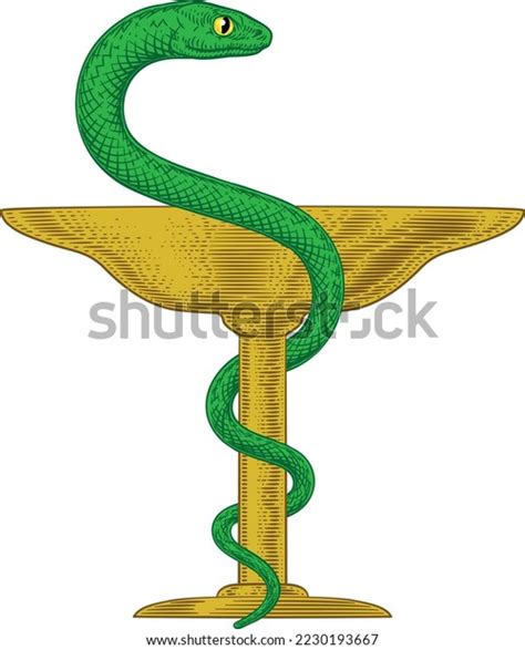 Bowl Hygieia Medical Symbol Sign Icon Stock Vector (Royalty Free) 2230193667 | Shutterstock