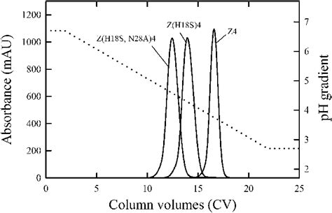 Elution Of Mab 2 In A Linear Ph Gradient From 67 To 27 On Protein A Download Scientific