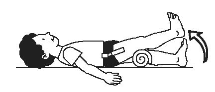 Quadricep Strengthening Exercises - Physio Professionals