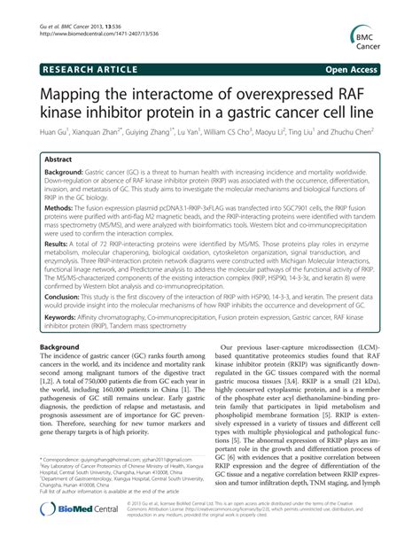 PDF Mapping The Interactome Of Overexpressed RAF Kinase Inhibitor