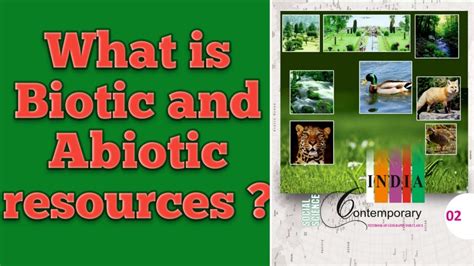 What Is Biotic And Abiotic Resources Class Th Geography Resources