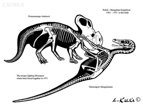 the fighting dinosaurs rec. by Calisius | Prehistoric animals dinosaurs ...