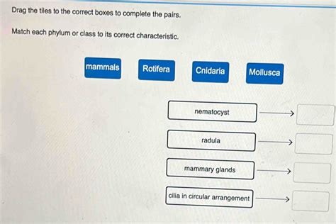 Solved Drag The Tiles To The Correct Boxes To Complete The Pairs Match Each Phylum Or Class To