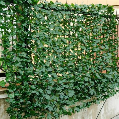 Ivy Chain Link Fence