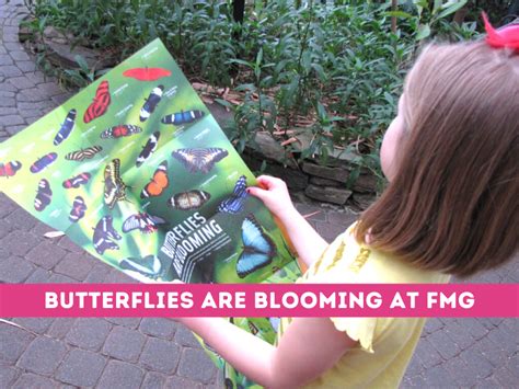 Meijer Gardens Butterflies Flutter Into Spring With Butterflies Are