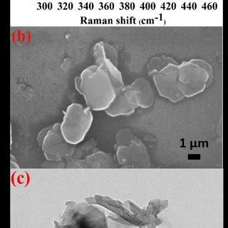 A The Raman Spectrum B The SEM Image Of The WS2 Nanosheets C