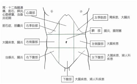 腹痛の部位の違いは？季肋部、心窩部はどこ？｜医学的見地から