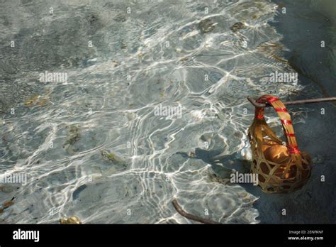 Stone Pool Mineral Hot Water For Thai People And Foreign Travelers Travel Visit And Cooking