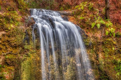 You Don T Even Need To Hike Far To Reach Florida S Tallest Waterfall