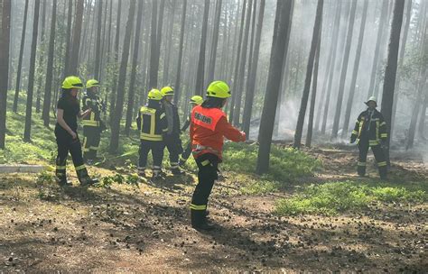 Fw L Chow Dannenberg Erster Waldbrand Des Jahres Besch Ftigt Ber