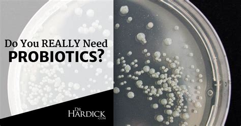 Good & Bad Bacteria - Do You Need Probiotics? | DrHardick