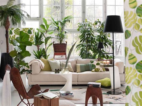 Plant Room Ideas For A Lush Leafy Oasis