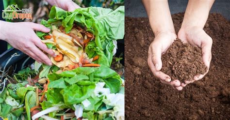 Компост: инструкция приготовления | Сад и Огород