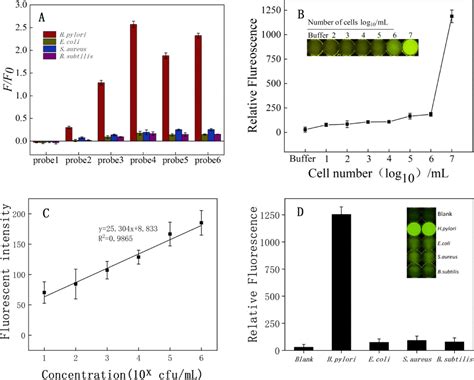 Rapid Detection Of Helicobacter Pylori By The Naked Eye Using Dna