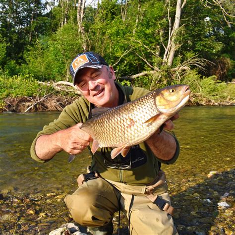 Fly Fishing For Chub In The Balkans - Ivan Randjelovic Fly Fishing Guide
