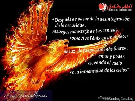 Introducir Imagen Frases De Renacer Como El Ave Fenix Abzlocal Mx