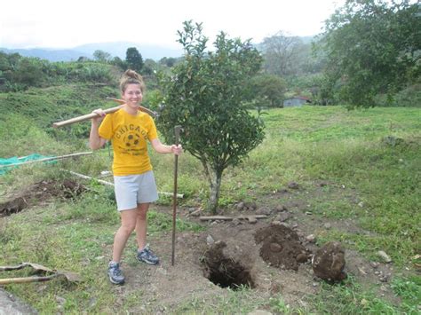 Digging holes to plant trees! | Orosi, Trees to plant, Digging holes