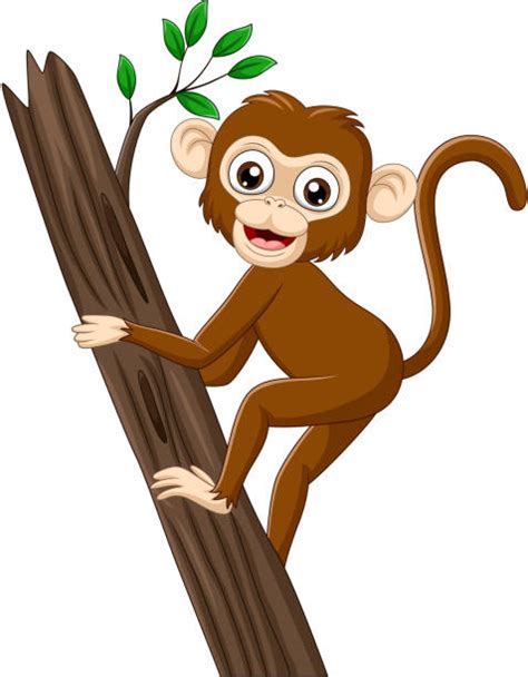 Monkey In A Tree Clipart