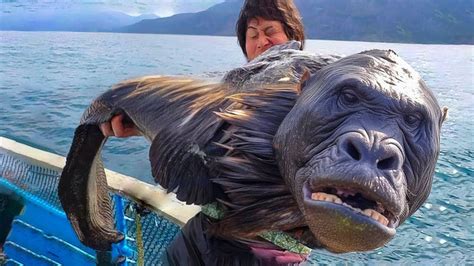 Pescadores Capturaram Algo Que Chocou O Mundo Inteiro YouTube