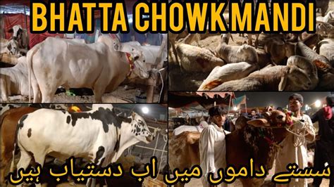 Bhatta Chowk Mandi Bhatta Chowk Mandi New Updates Youtube