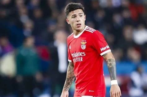 M10 on Twitter Enzo falha o último jogo do Benfica na fase de grupos