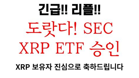 리플 미쳤습니다 도랏다 Sec Xrp Etf 승인 대박입니다 Xrp 보유자 진심으로 축하드립니다 리플 리플코인 리플전망