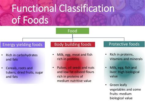 Food Groups And Food Pyramid