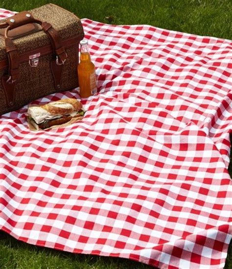 A Picnic Blanket On The Grass With A Bottle Of Beer Next To It And A Bag